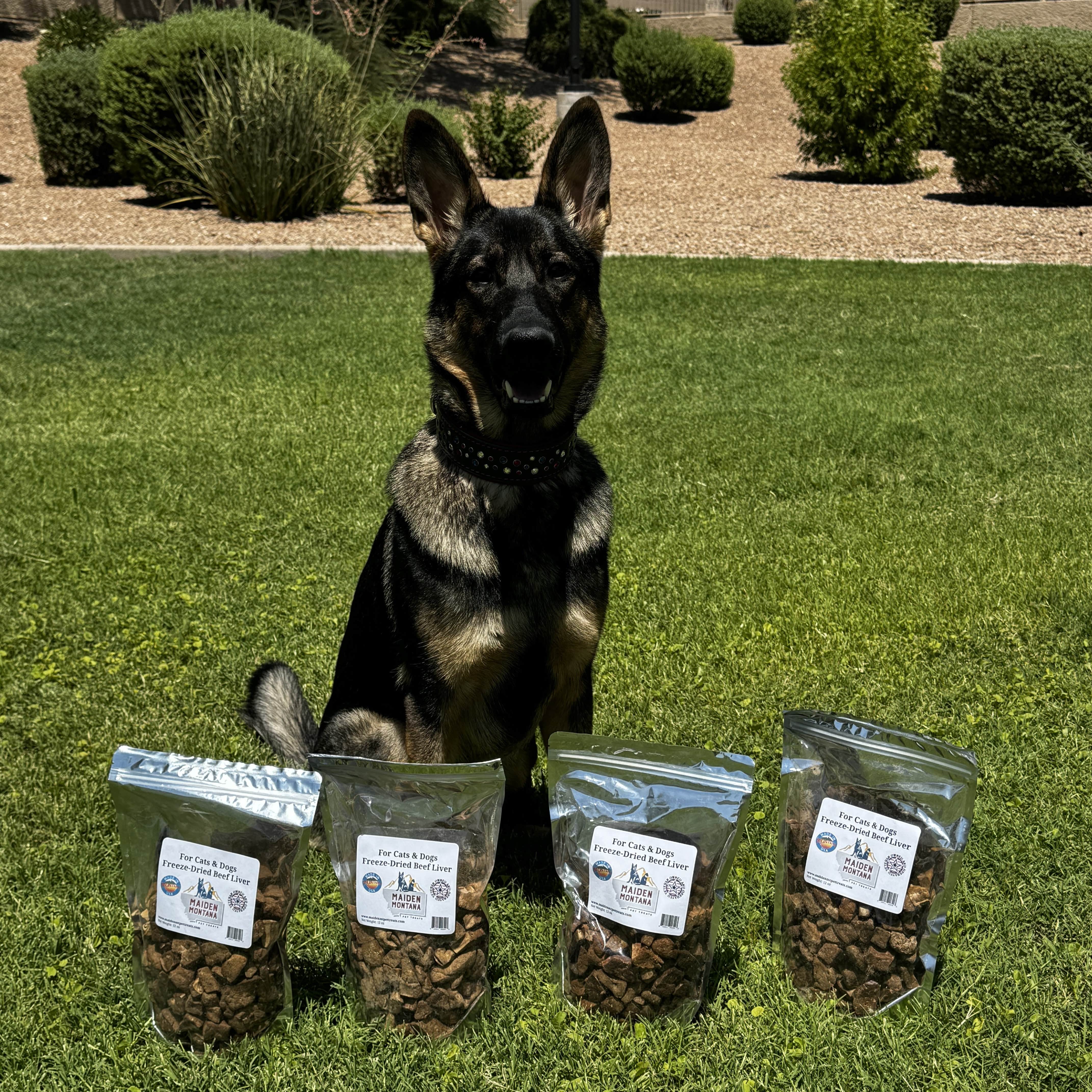 Freeze Dried Treats | Beef Liver | 12oz.